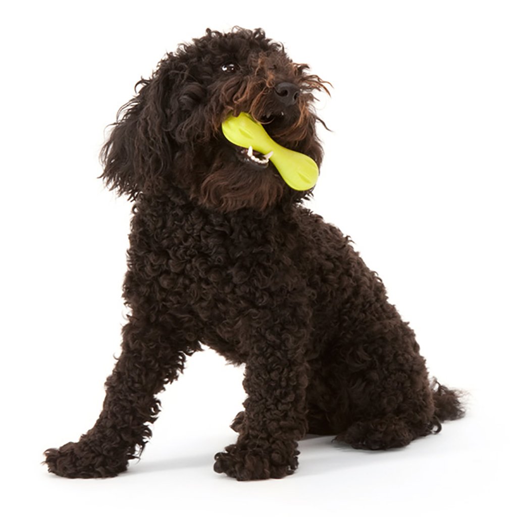 Hurley Dog Bone