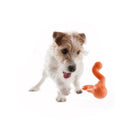Tizzi Dog Toy