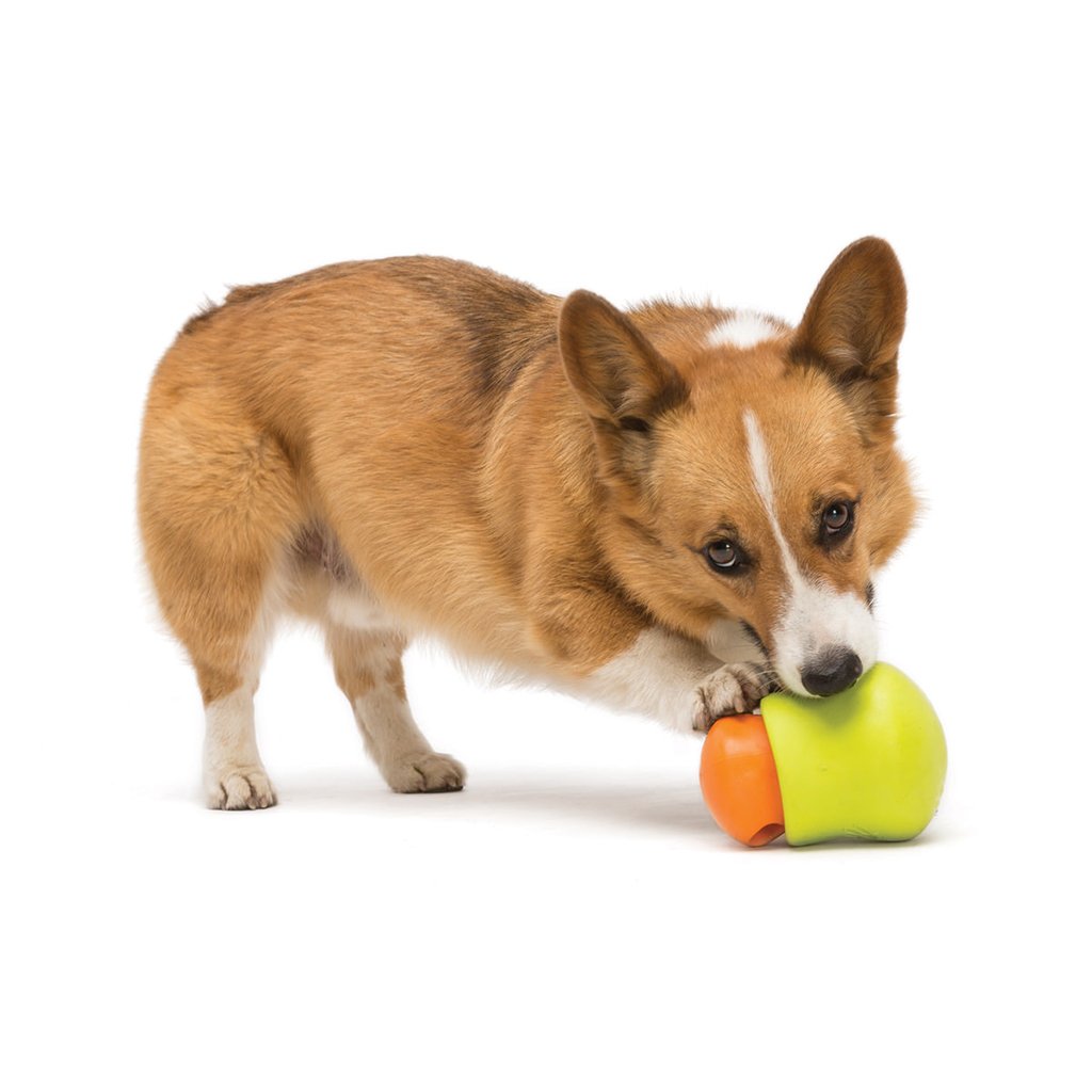 Toppl Treat Toy