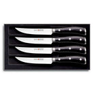 Classic Ikon Four Piece Steak Set